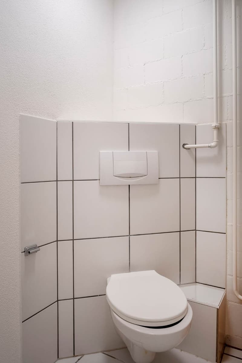 Renovierte 2.5 Zimmer-Gartenwohnung mit Wellnessbereich (11)
