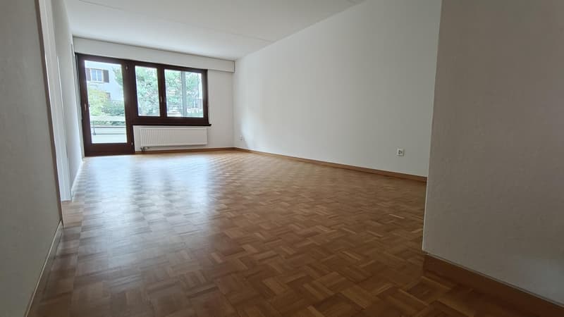 Renovierte 3.5 Zi-Wohnung beim Irchelpark zu vermieten (4)