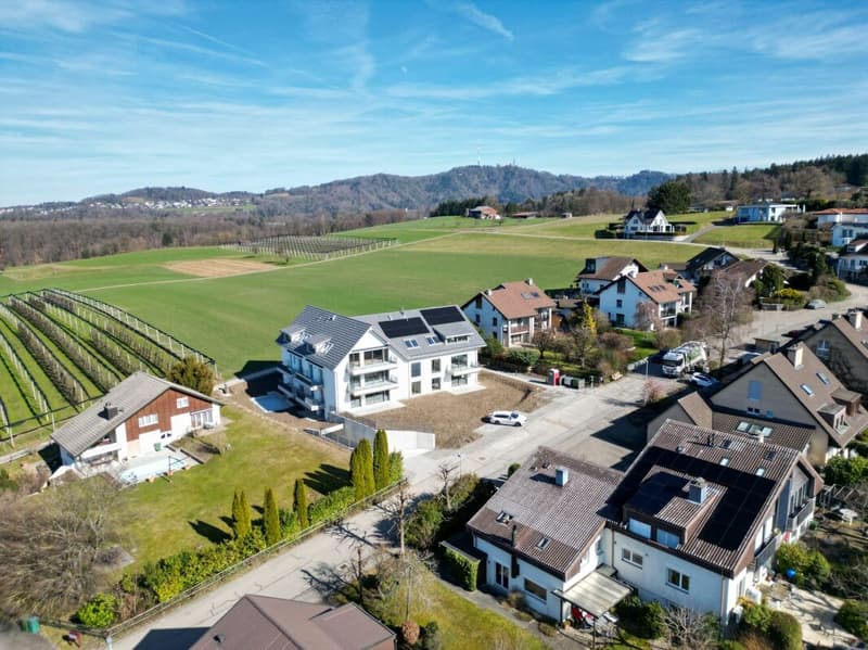 Vista impareggiabile sulla zona agricola e il Uetliberg garantita! (13)