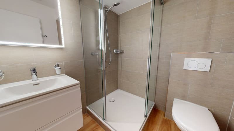 Charming 6.5-room single-family home with annex - attractive capital investment or later self-use (12)