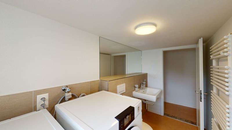 Charming 6.5-room single-family home with annex - attractive capital investment or later self-use (4)