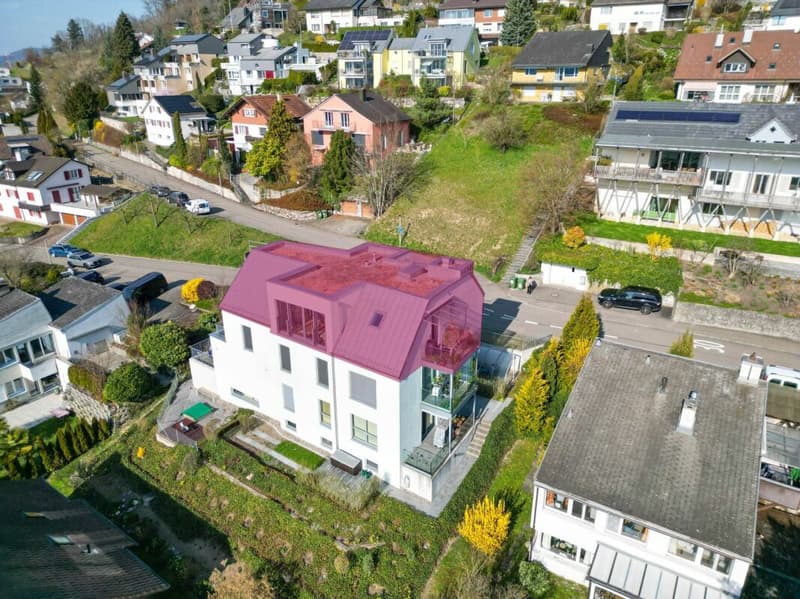 Habitation spacieuse avec vue panoramique sur Bachenbülach (11)
