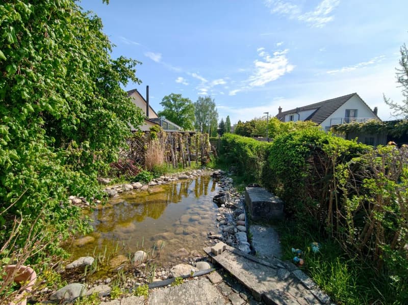 Teich im Garten