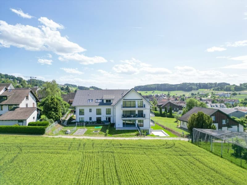 Unverbaubare Sicht in die Landwirtschaftszone und den Uetliberg garantiert! (12)