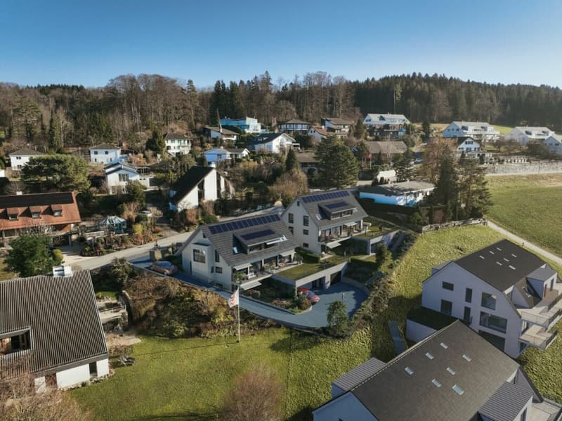 DuoVivo: Über den Dächern von Aesch ZH (5)