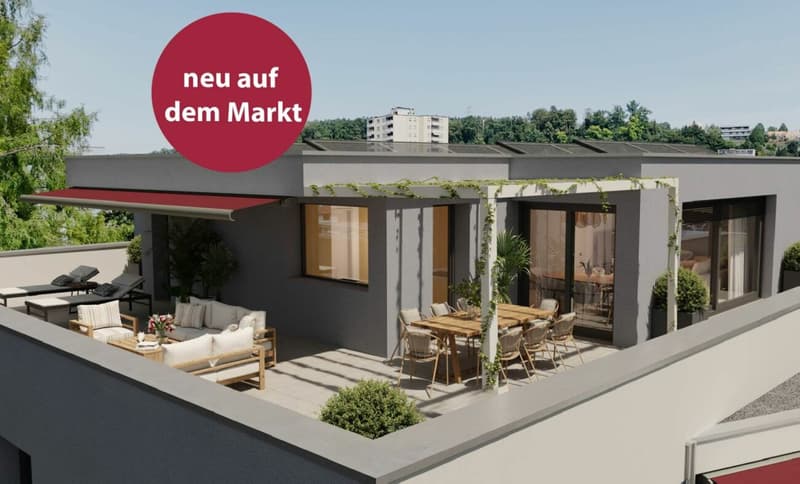 Terrasse Attikawohnung 401