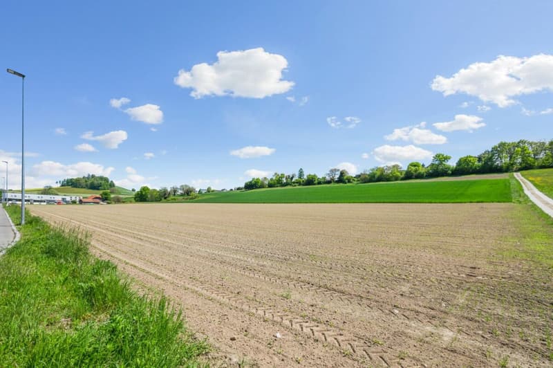 Umgebung