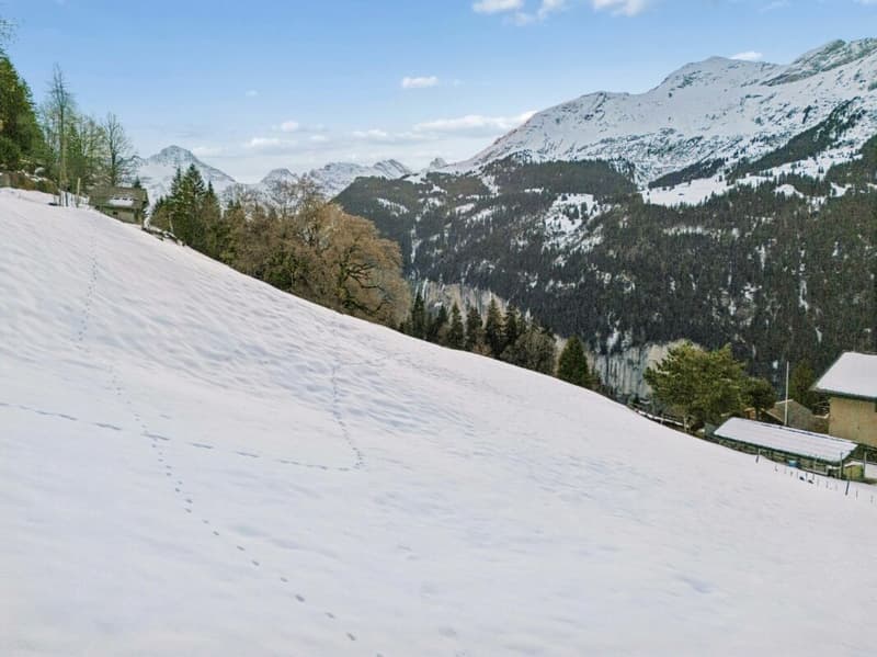 Bauland an Hanglage
