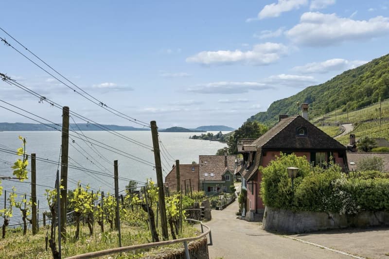 Idyllische Wohnlage