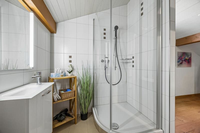Badezimmer mit Dusche
