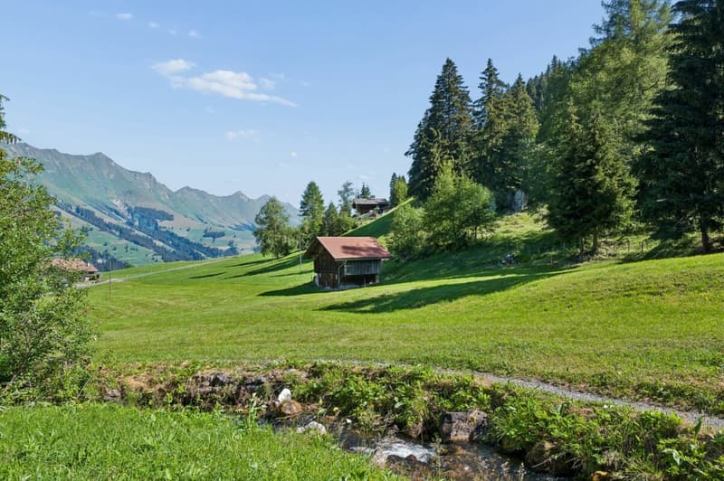 Baulandparzelle