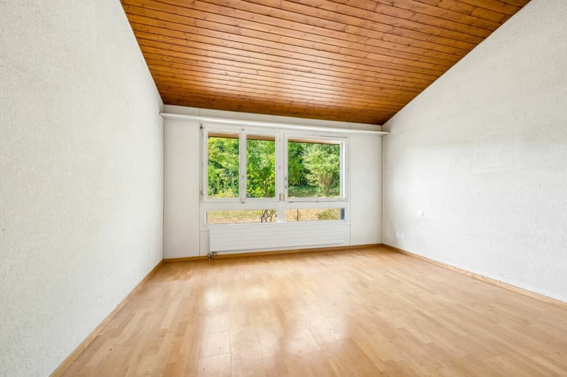 Zimmer