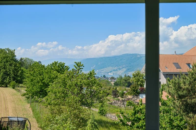 Aussicht auf den See