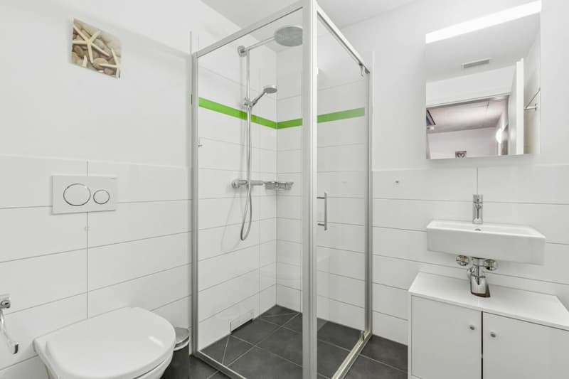 Nasszelle mit Dusche