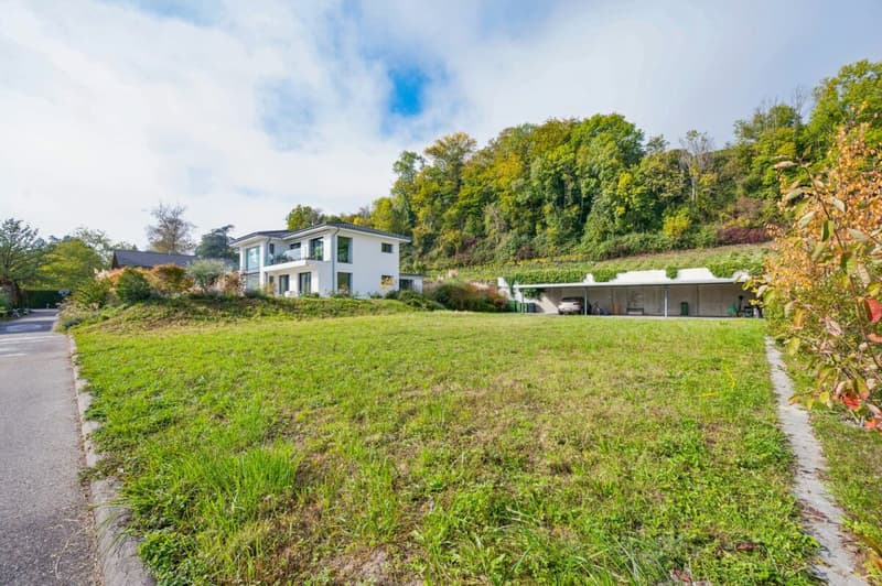 Blick aufs Grundstück