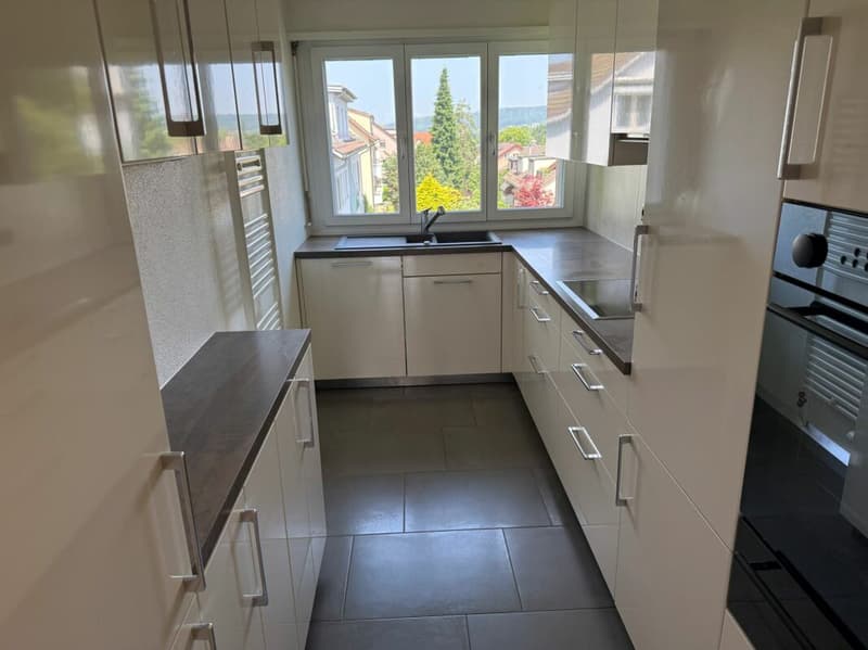 Hell, comfortable, with chimney and modern kitchen (2)