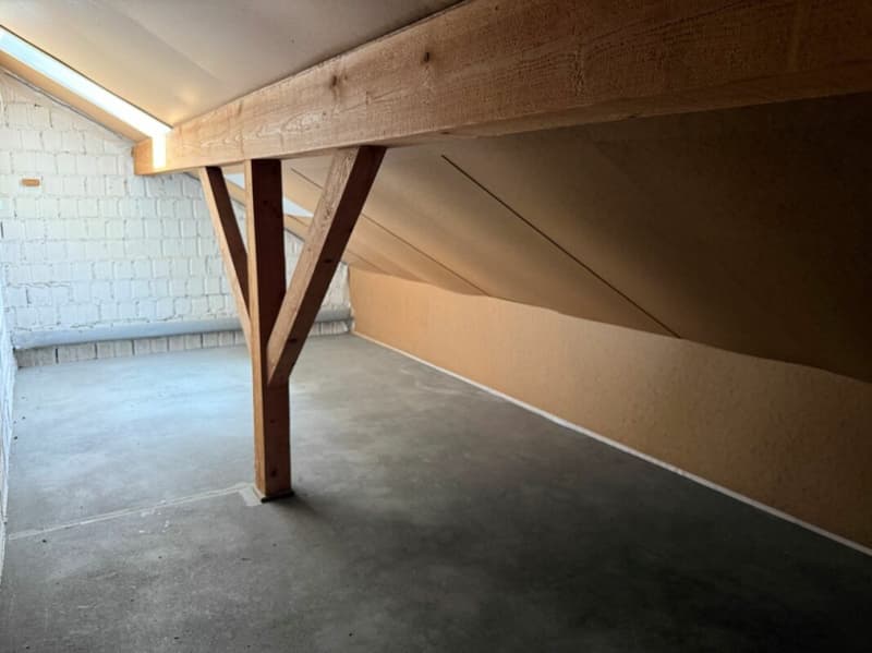 Hell, comfortable, with chimney and modern kitchen (9)