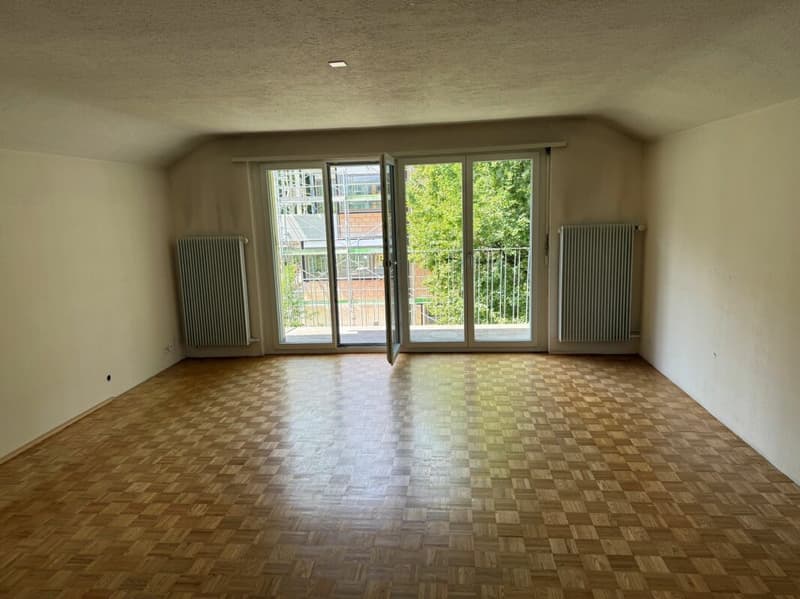 Hell, comfortable, with chimney and modern kitchen (6)