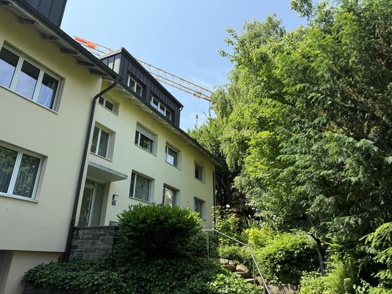 Hell, comfortable, with chimney and modern kitchen (12)