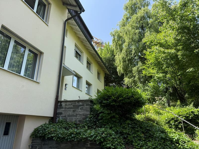 Hell, comfortable, with chimney and modern kitchen (13)