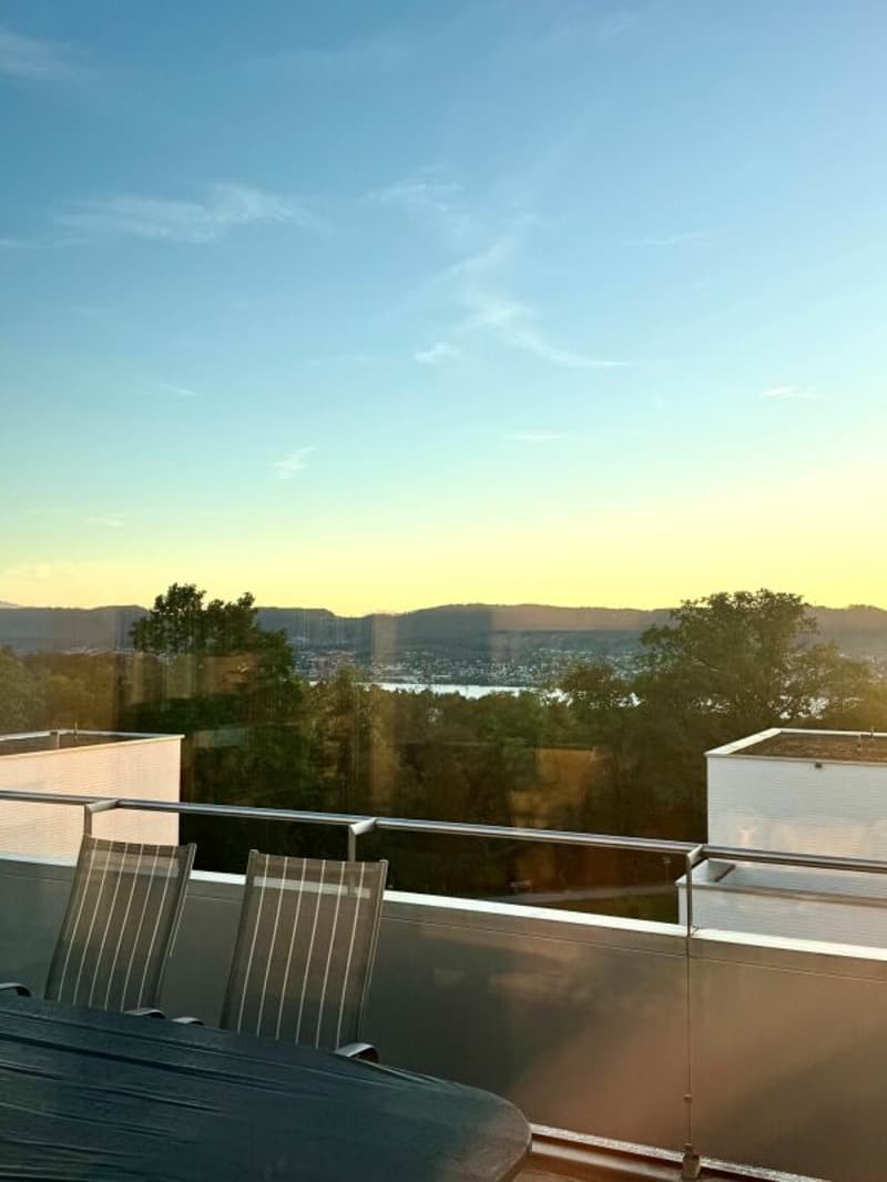 Aussergewöhnliche Attika-Maisonettewohnung an Toplage (15)