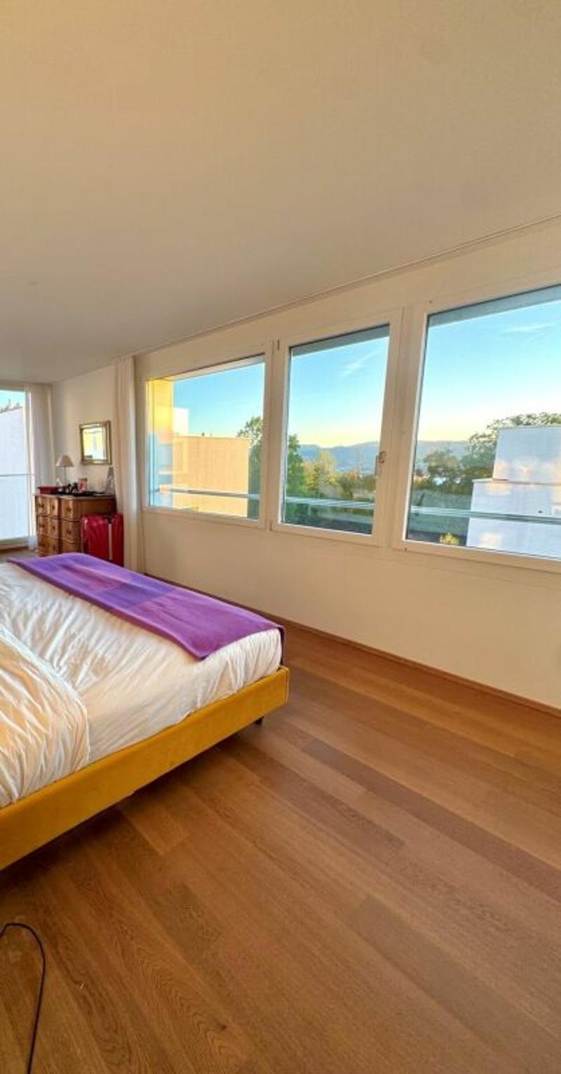 Aussergewöhnliche Attika-Maisonettewohnung an Toplage (7)