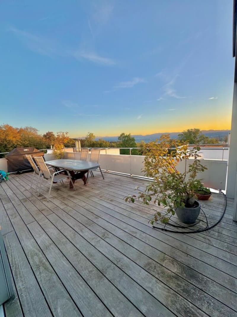 Aussergewöhnliche Attika-Maisonettewohnung an Toplage (14)