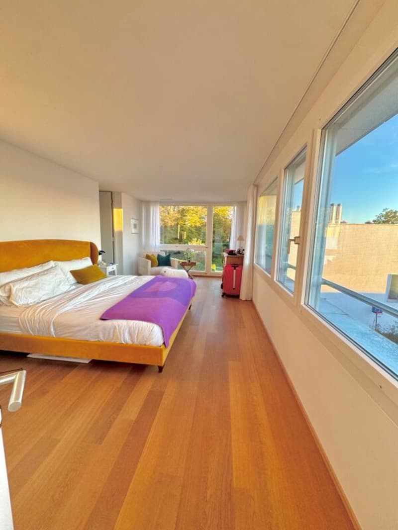 Aussergewöhnliche Attika-Maisonettewohnung an Toplage (6)