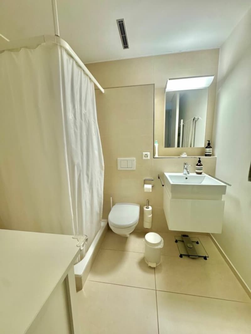 Aussergewöhnliche Attika-Maisonettewohnung an Toplage (13)