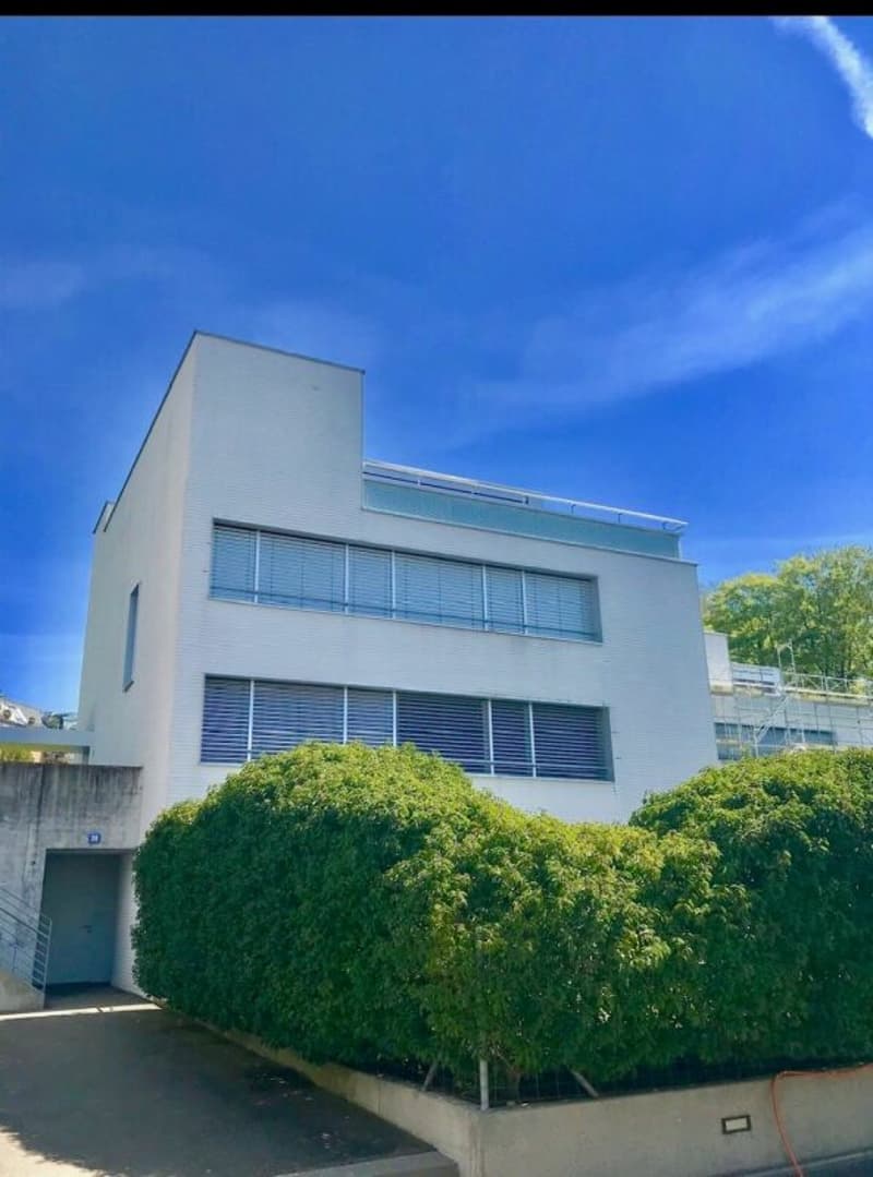 Aussergewöhnliche Attika-Maisonettewohnung an Toplage (16)