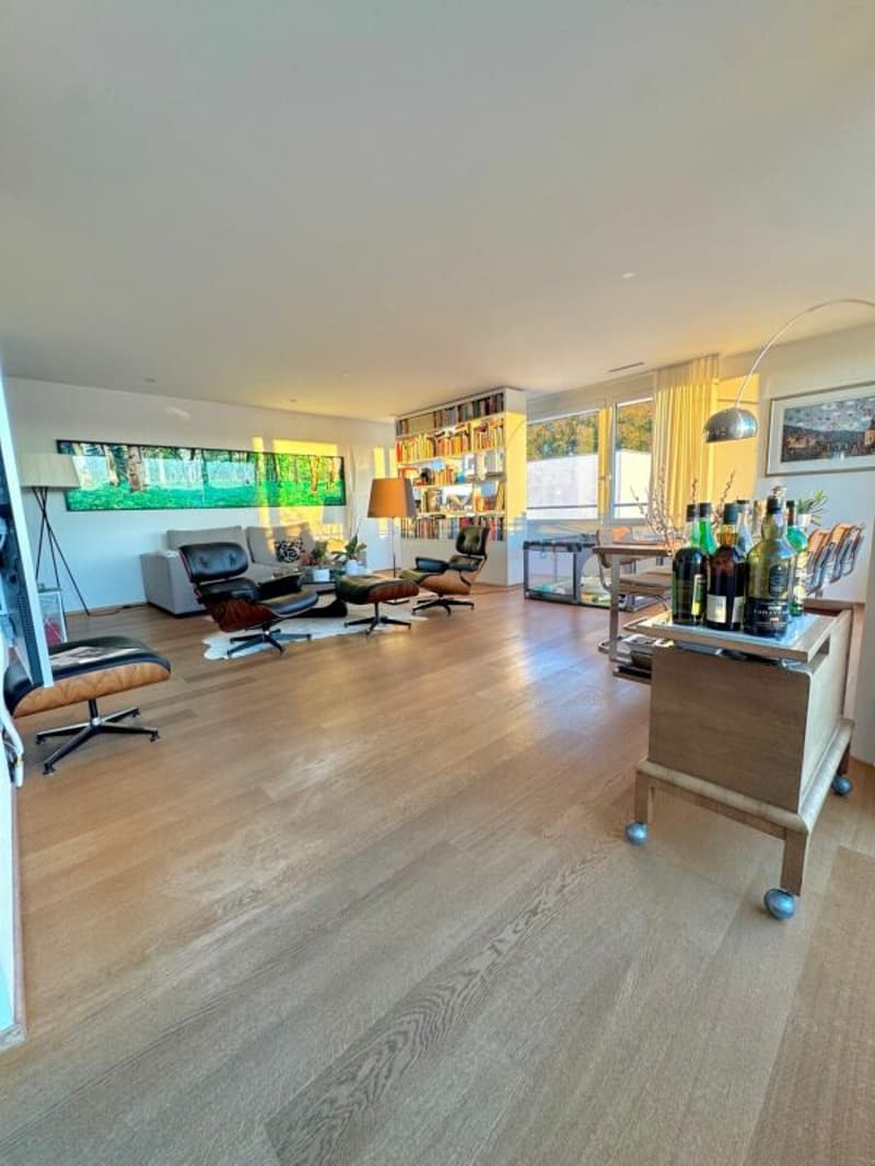 Aussergewöhnliche Attika-Maisonettewohnung an Toplage (3)