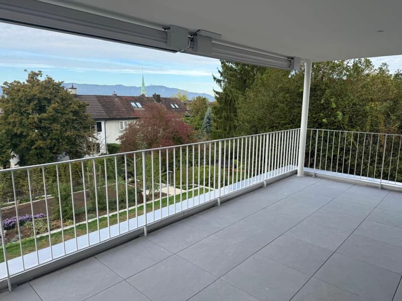 Stilvolles Wohnen mit grosszügiger Terrasse (11)