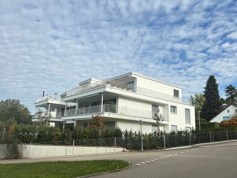 Stilvolles Wohnen mit grosszügiger Terrasse (1)