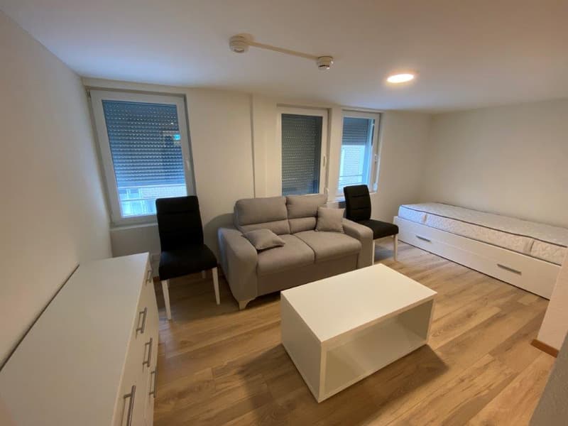 Modern furnished living room with gray sofa, two chairs, white coffee table, two white wardrobes, and a daybed with drawers.