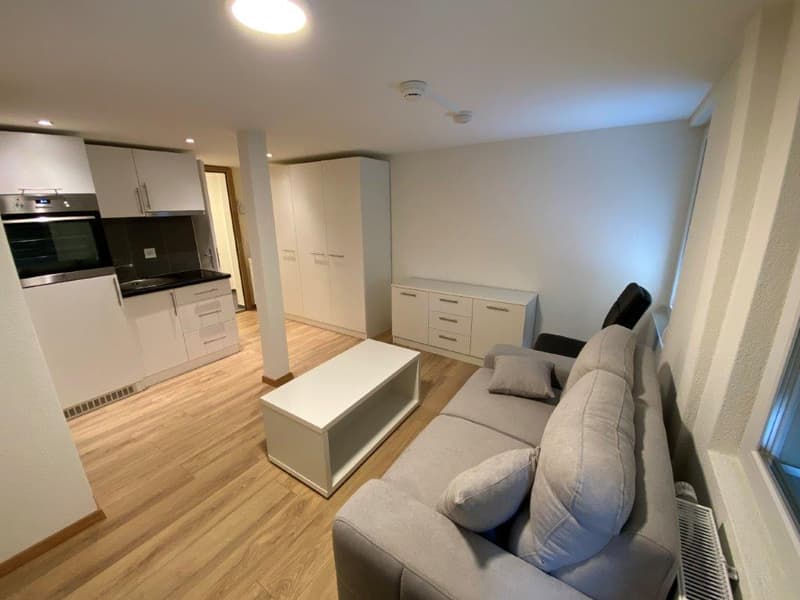 open floor plan, gray couch, white coffee table, kitchen, white cupboards, hardwood floor