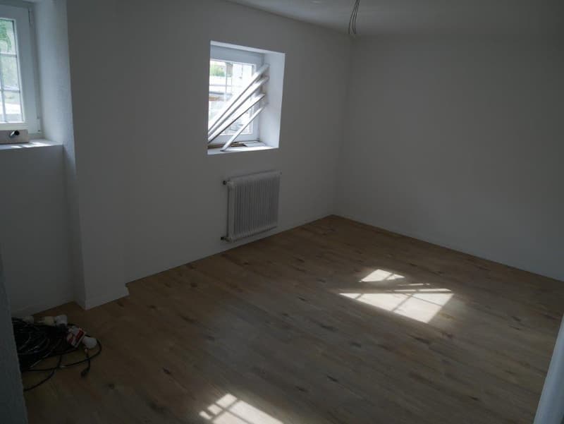 Neu renovierte 2-Zimmer-Wohnung in Küblis zu vermieten (7)