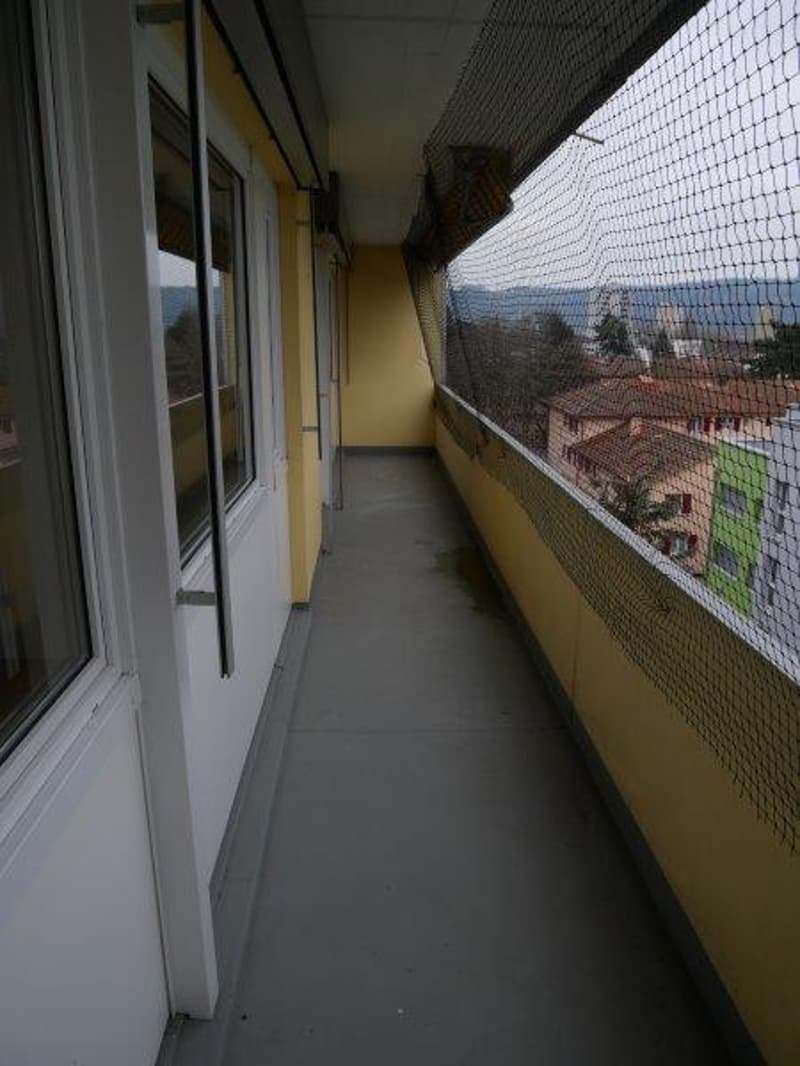 Schöne renovierte 3.5 Zimmerwohnung mit Balkon (11)