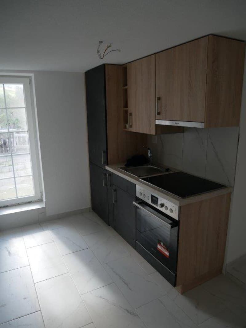 Neu Renovierte 2-Zimmer-Wohnung in Küblis zu vermieten (2)