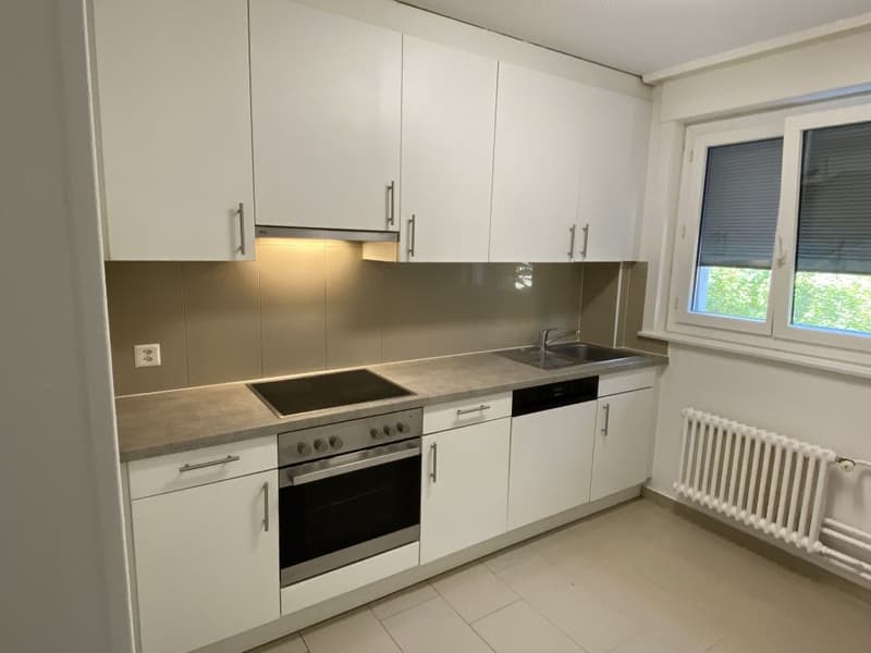 Spacieux appartement 4.5 pièces avec balcon ! (1)