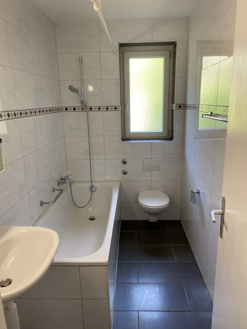 Spacieux appartement 4.5 pièces avec balcon ! (9)