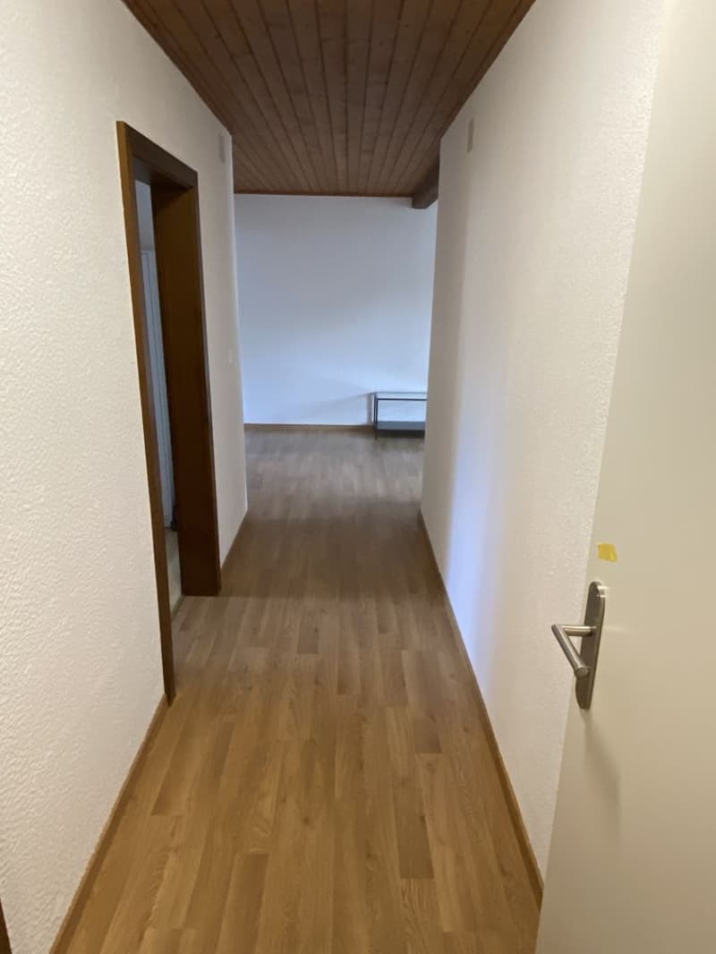 Empty hallway with wooden floor and white walls, wooden ceiling, two doors on the left, a small table in the distance