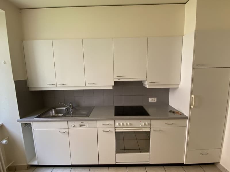 Ein Monat Miete kostenlos! Schönes 3-Zimmer-Apartment zur Miete! (1)