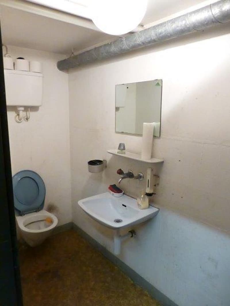 The image shows a small bathroom with a sink, mirror, and toilet. The walls are plain and the room has a utilitarian appearance.