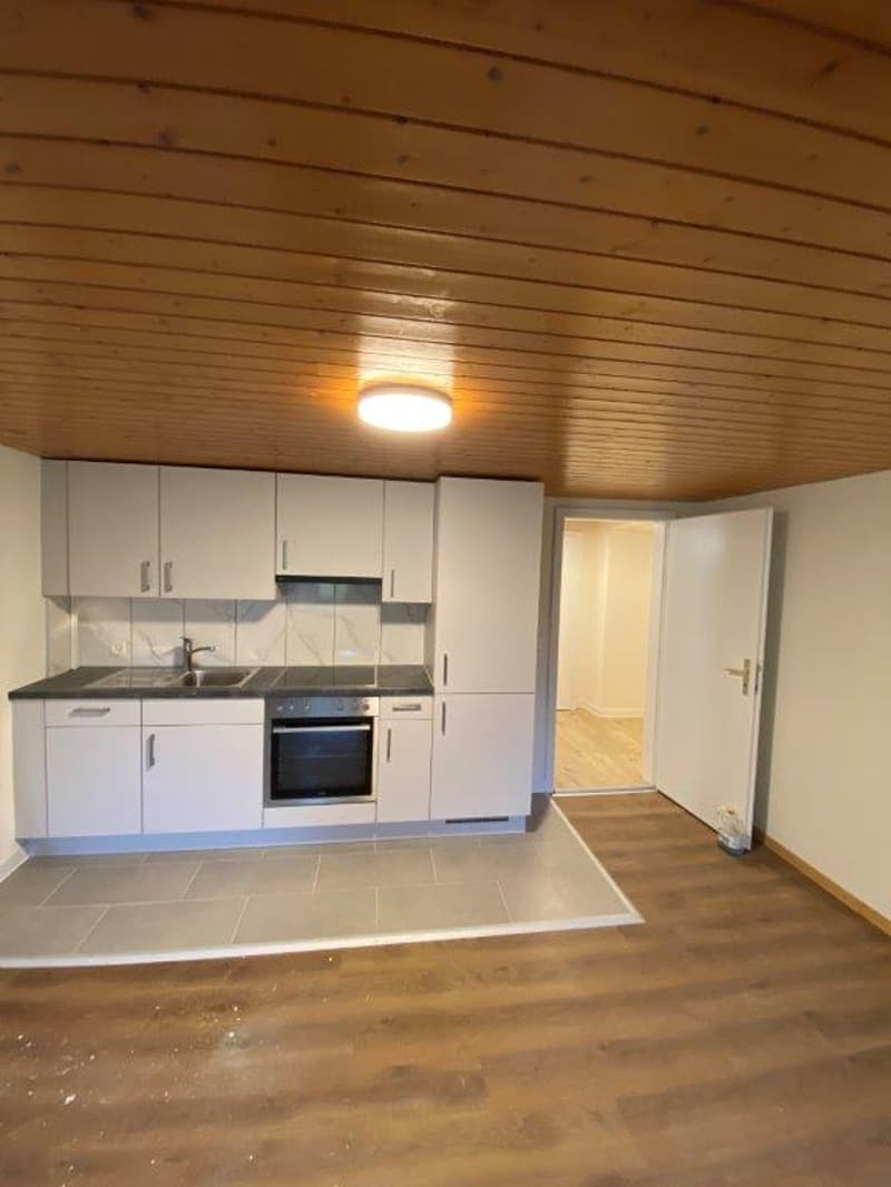 Appartement rénové de 1 pièce dans un quartier calme à Luchsingen (4)