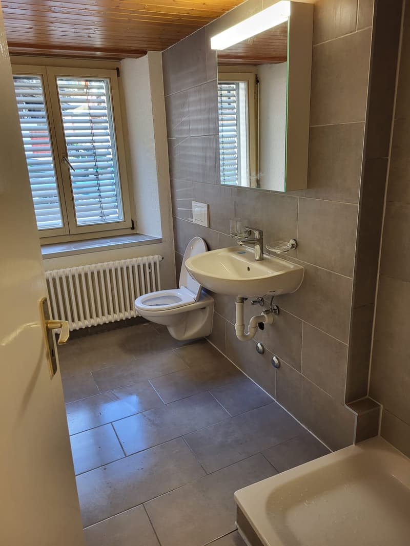 Appartement rénové de 1 pièce dans un quartier calme à Luchsingen (6)