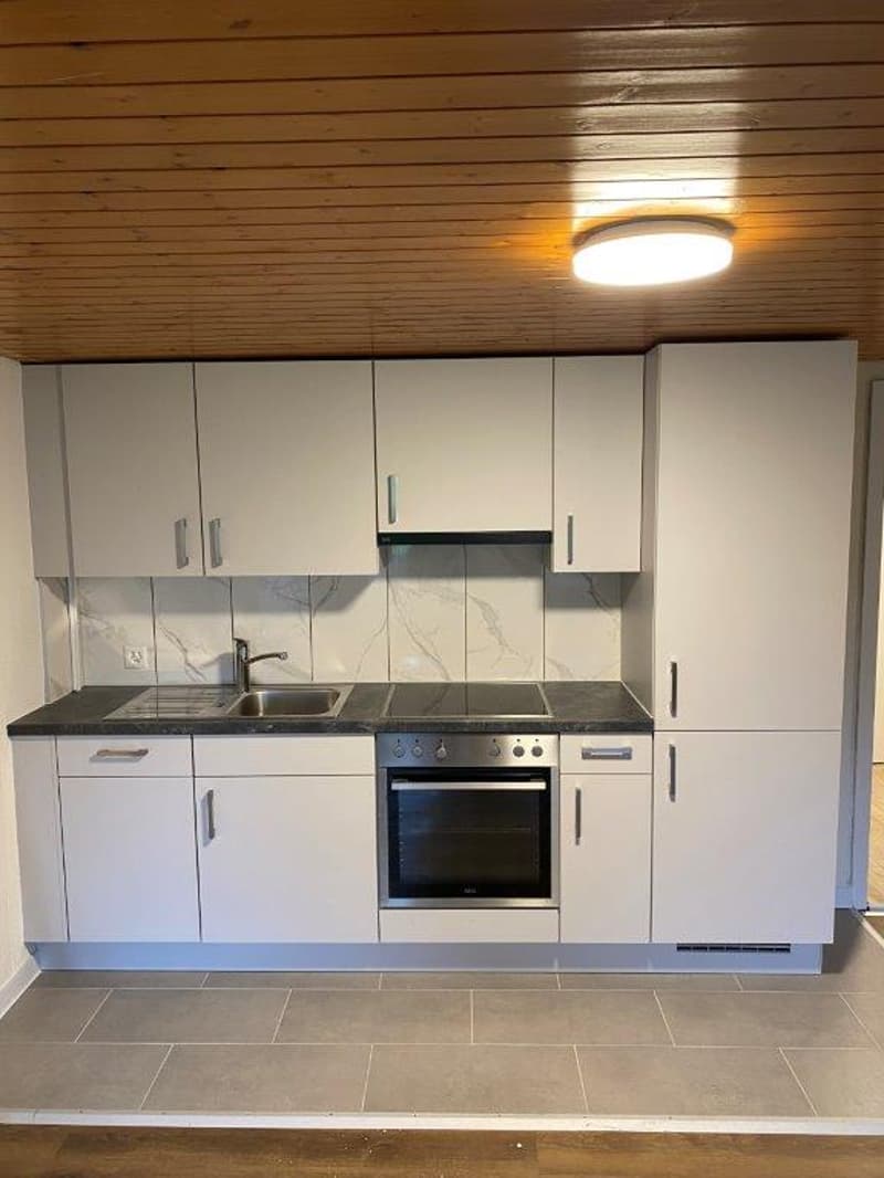 Appartement rénové de 1 pièce dans un quartier calme à Luchsingen (3)