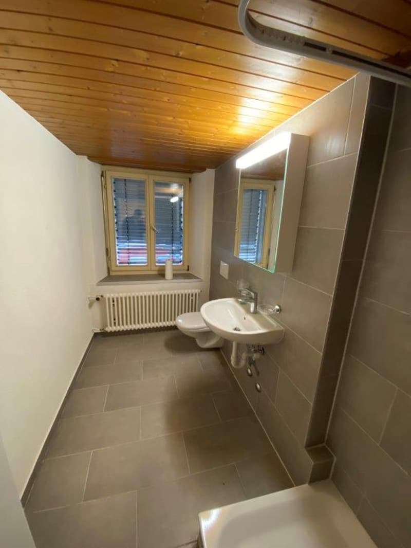 Appartement rénové de 1 pièce dans un quartier calme à Luchsingen (5)