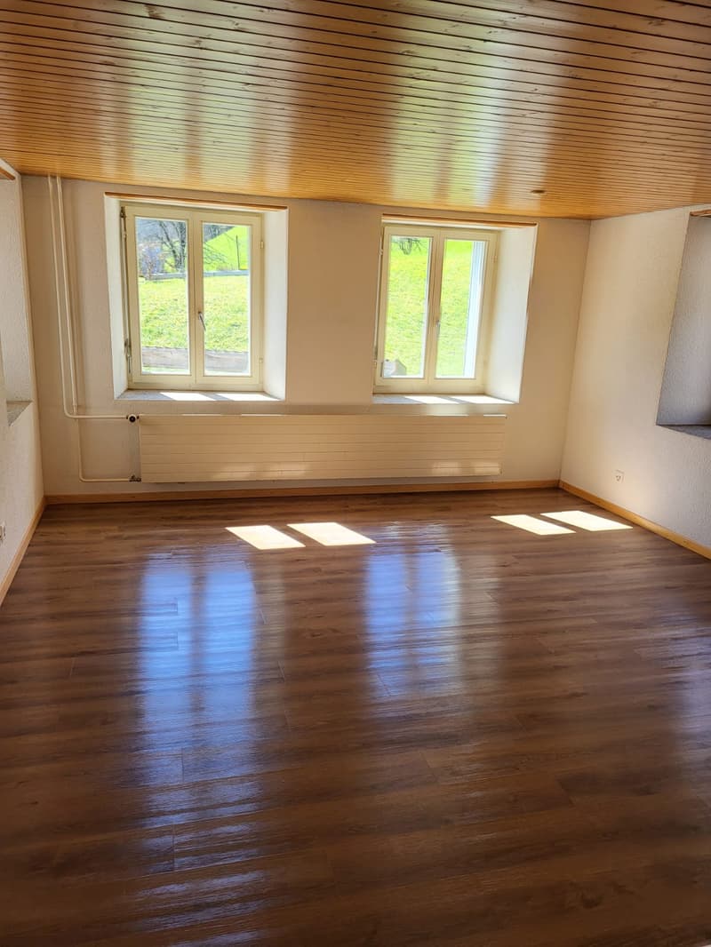Appartement rénové de 1 pièce dans un quartier calme à Luchsingen (2)