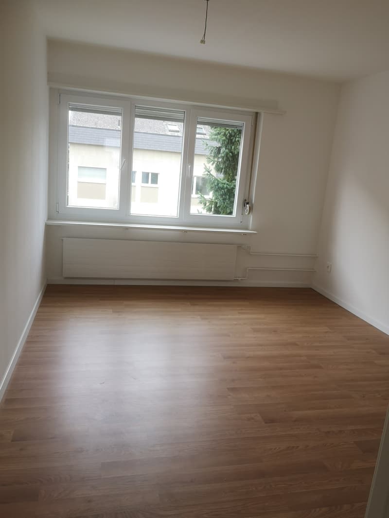 empty room, white walls, wooden floor, large window, radiator, window view