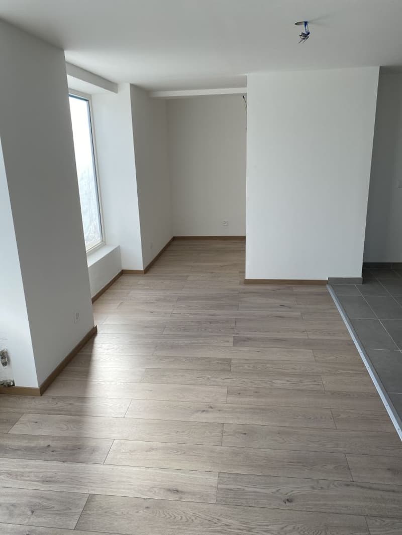 First rental of new building - 1.5 room apartment for rent! (6)